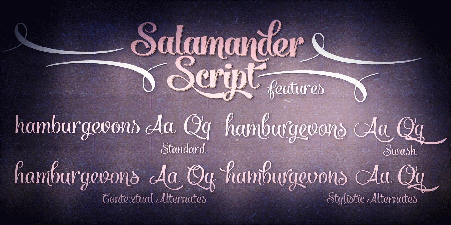 Przykład czcionki Salamander Script